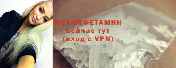 стаф Тайга