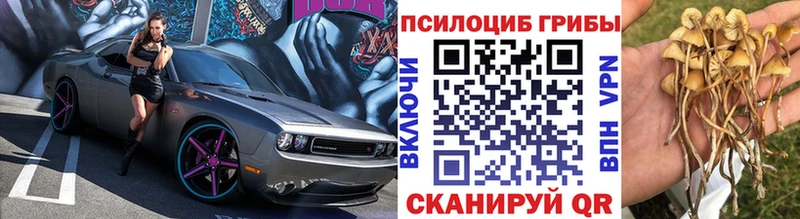 ссылка на мегу как зайти  это как зайти  Псилоцибиновые грибы Magic Shrooms  Новокубанск 
