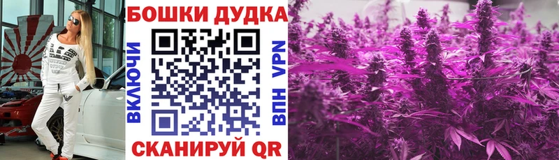 Конопля ГИДРОПОН Новокубанск